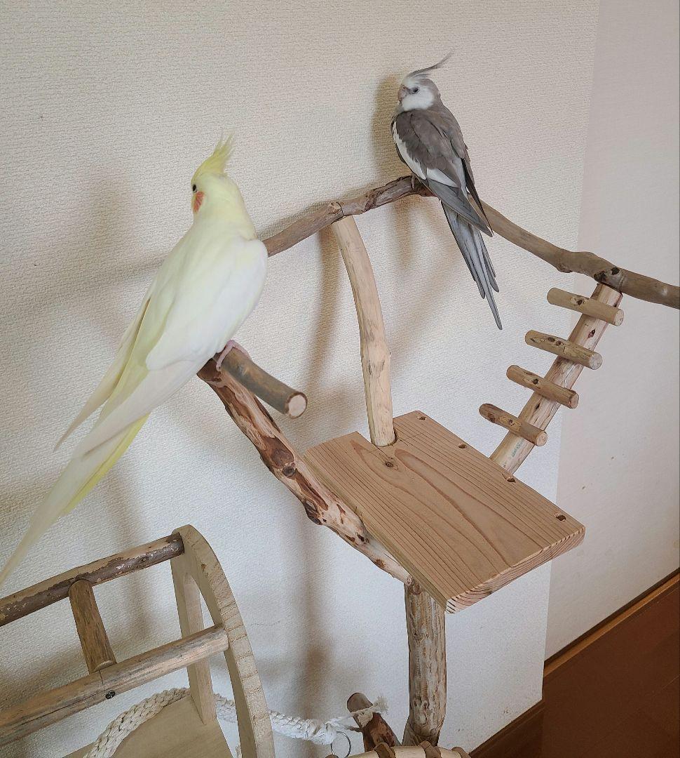 ④朝霧＊オーダーページ　バードアスレチック　流木　ハンドメイド