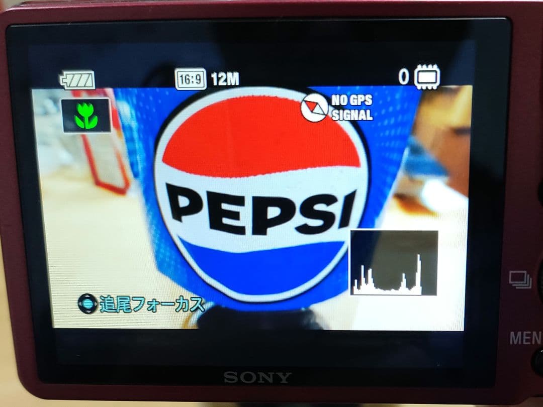 C*a様 SONY Cyber-shot DSC-HX7V レッド　カメラケース