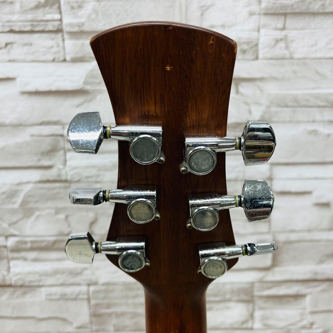 Pro Session エレアコ