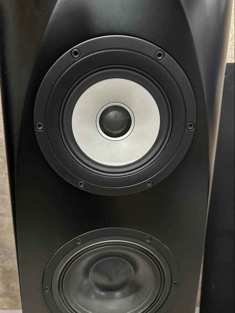 Pioneer S-1EX 000324 1本 TAD/AIR Studios