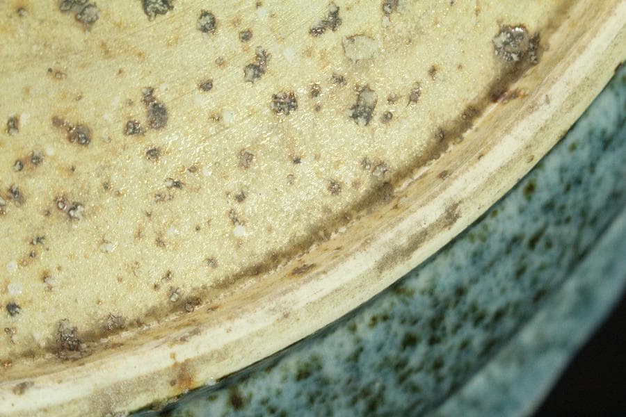 中国美術 纏枝蓮花貼 青華折口皿 φ47cm 美品(ZE727)