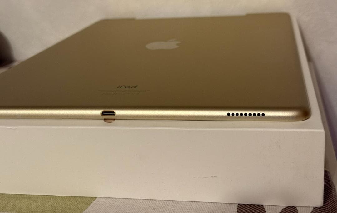 極美品★iPadPro 初代 128GB 12.9 Wi-Fi+Cellular