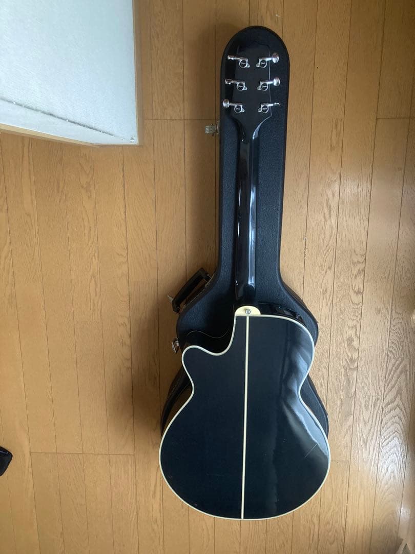 エレアコ　Takamine PT106