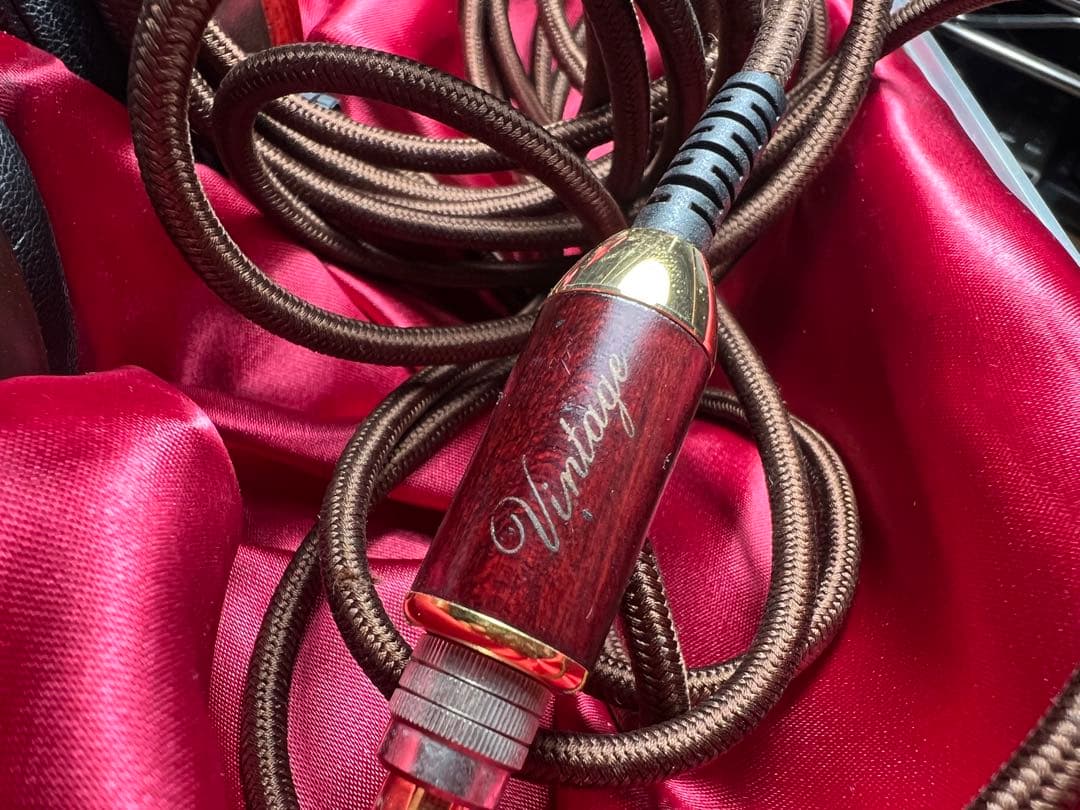 Audio-Technica ATH-W10VTG ヘッドフォン