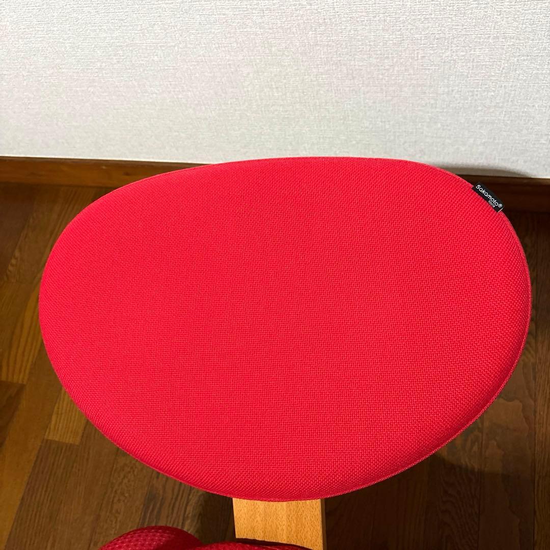 【極美品】 バランスイージー レッド 通常フレーム 防水カバー付き