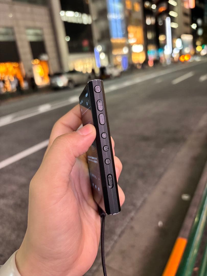 SONY Walkman NW-A306 （32GB）