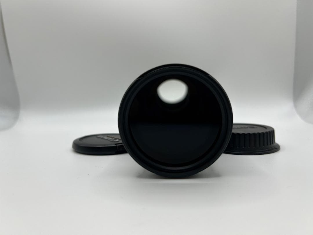 Canon EF 75-300mm 1:4-5.6 III 望遠ズームレンズ