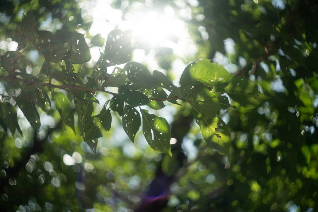 超希少 最初期型 13枚羽 Helios-44 58mm f2 ヘリオス 3