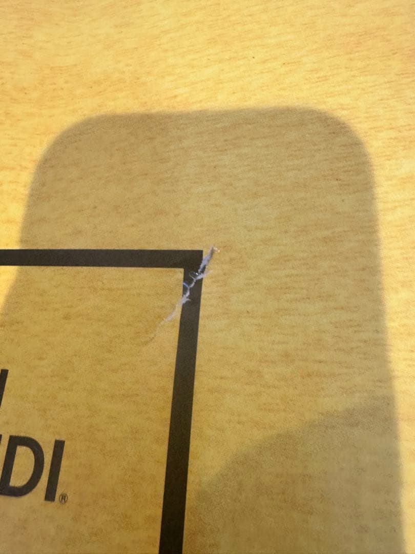 (16) FENDI 羽毛肌掛ふとん　 羽毛肌掛けふとん　 ダウンケット 新品