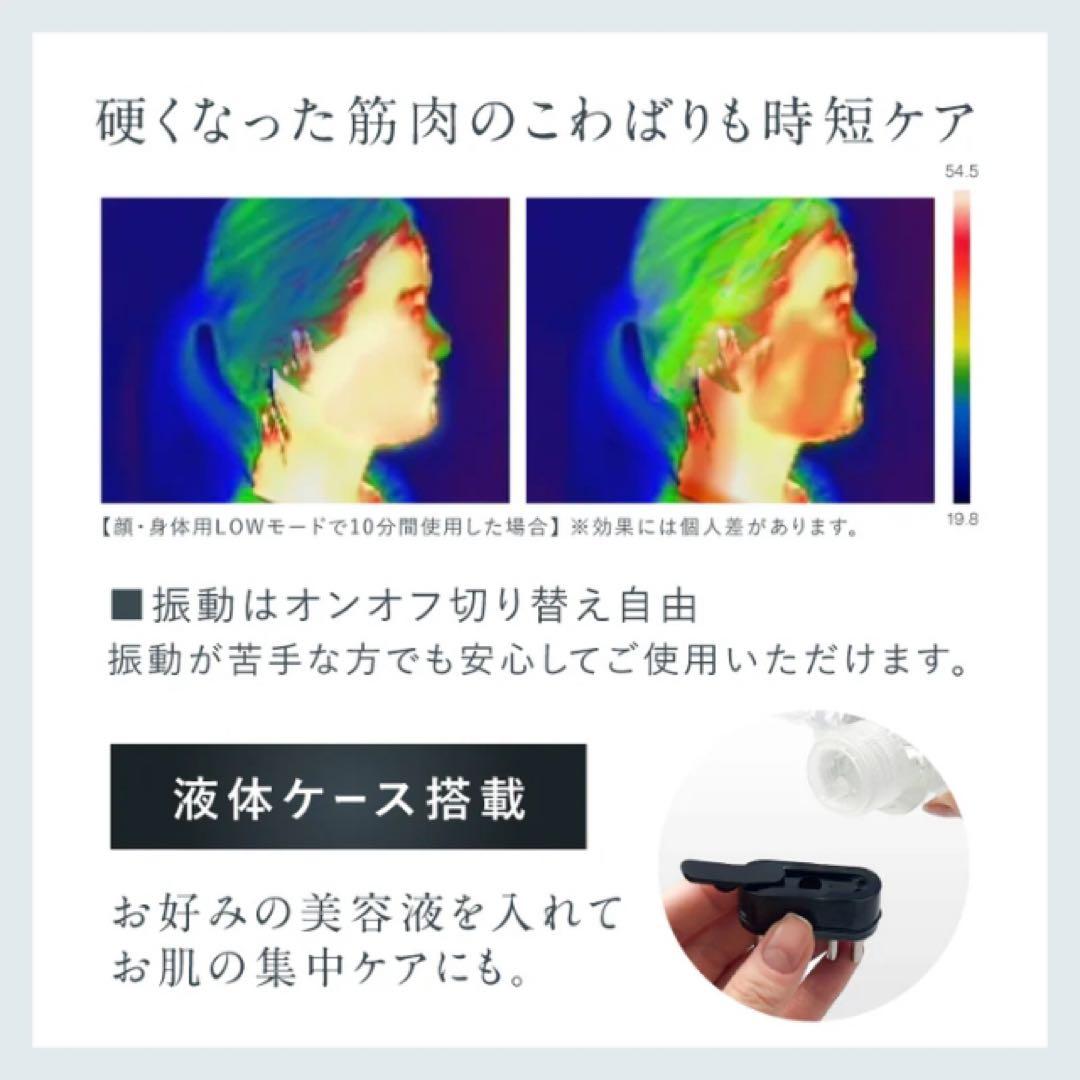 【値下中】NIPLUX EMS CARE BRUSH 美顔器NP-ECB24BK