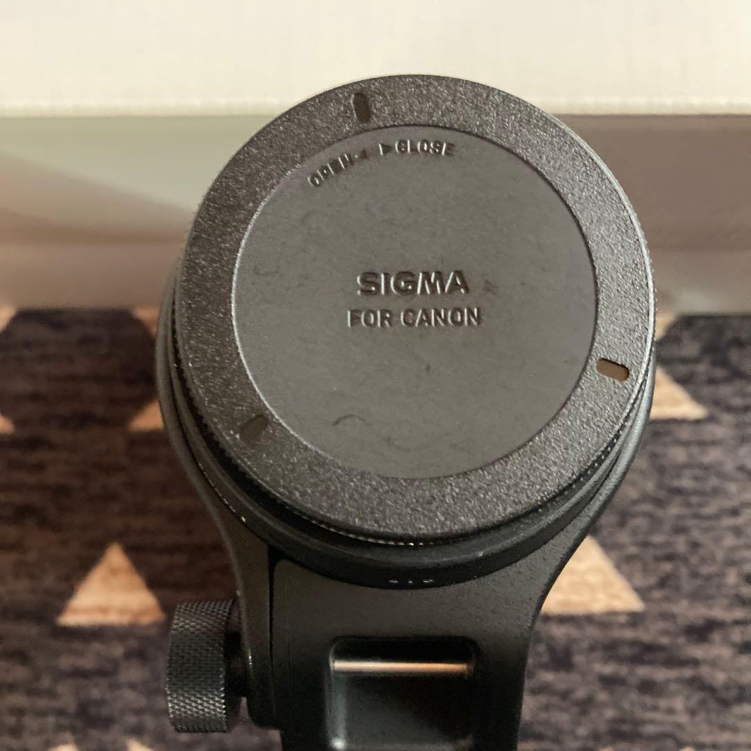 l*v様 SIGMA 150-600mm F5-6.3 DG OS HSM ズー