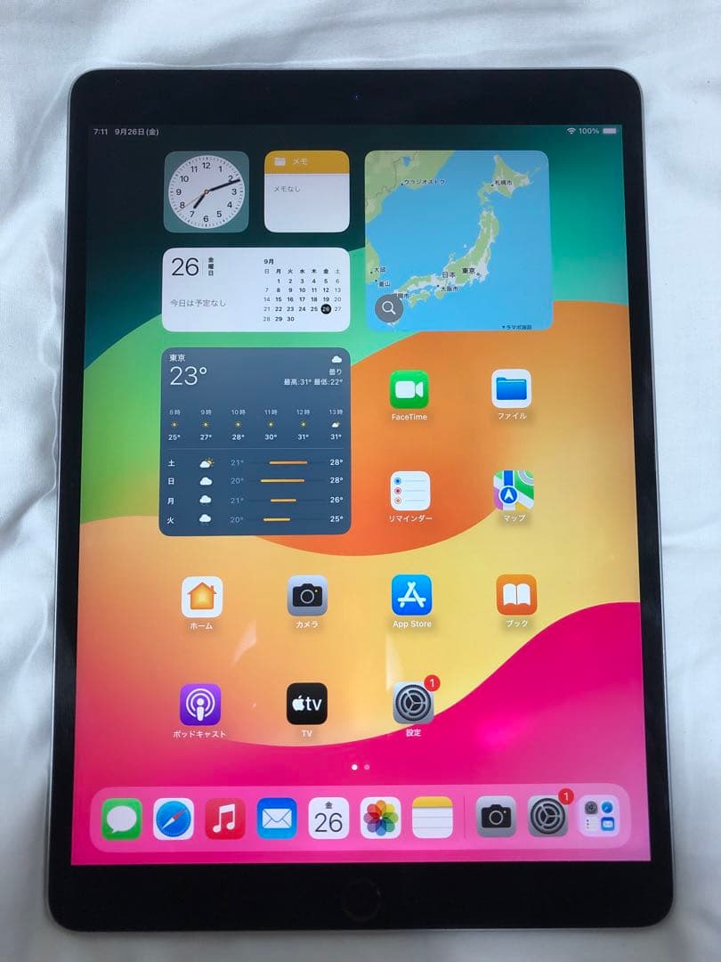 Apple iPad (第世代) 256GB スペースグレー100%