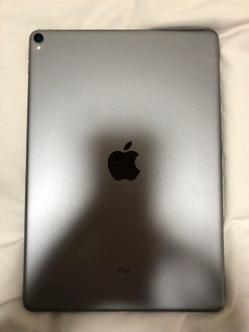 Apple iPad (第世代) 256GB スペースグレー100%