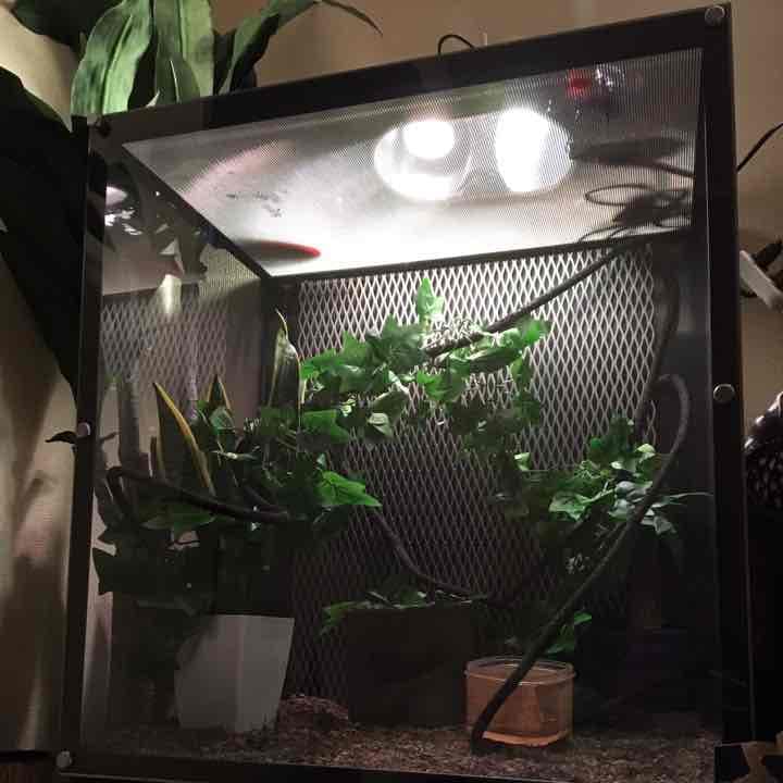 オリジナル水槽爬虫類などなど