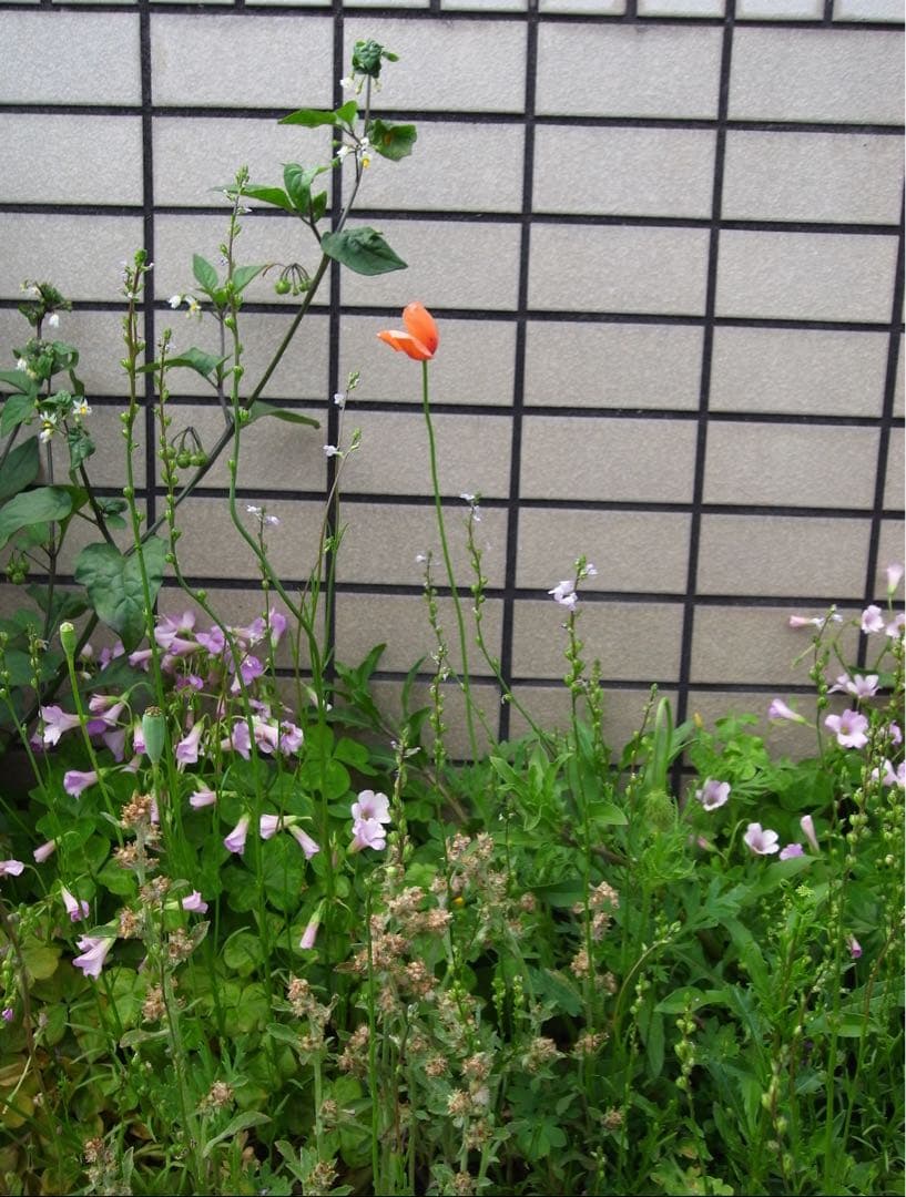 RICOH GX200 コンパクトデジタルカメラ