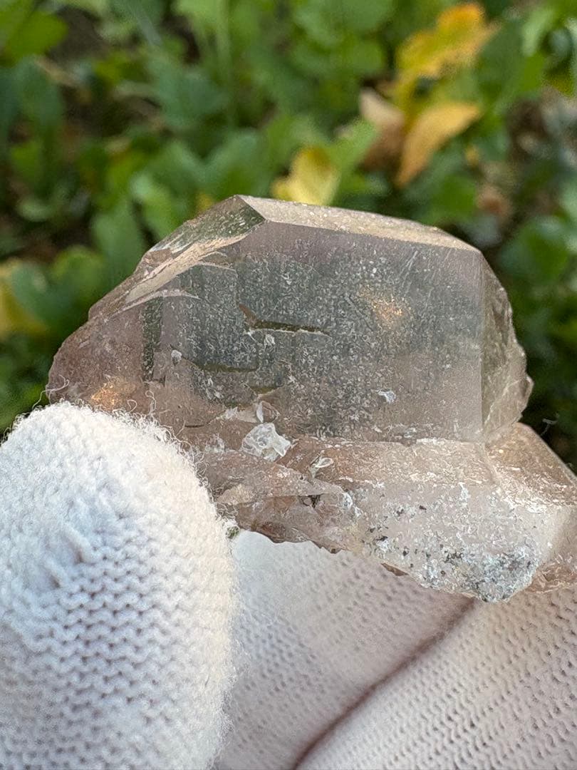 【匿名発送】パキスタン産スモーキーグインデル