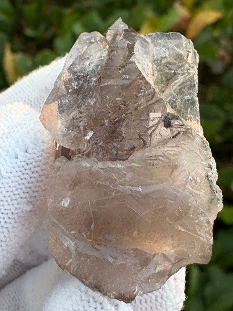 【匿名発送】パキスタン産スモーキーグインデル