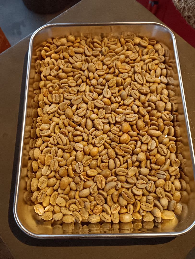 【生豆】エチオピア ゲイシャ G1 ナチュラル 500g