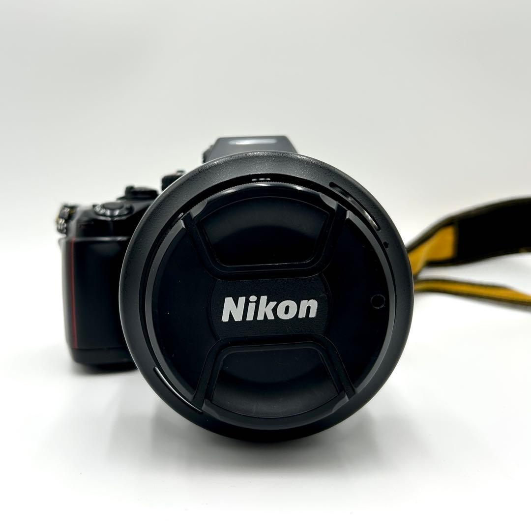 Nikon F4 AF-S 24-120mm f4 VR 動作確認済