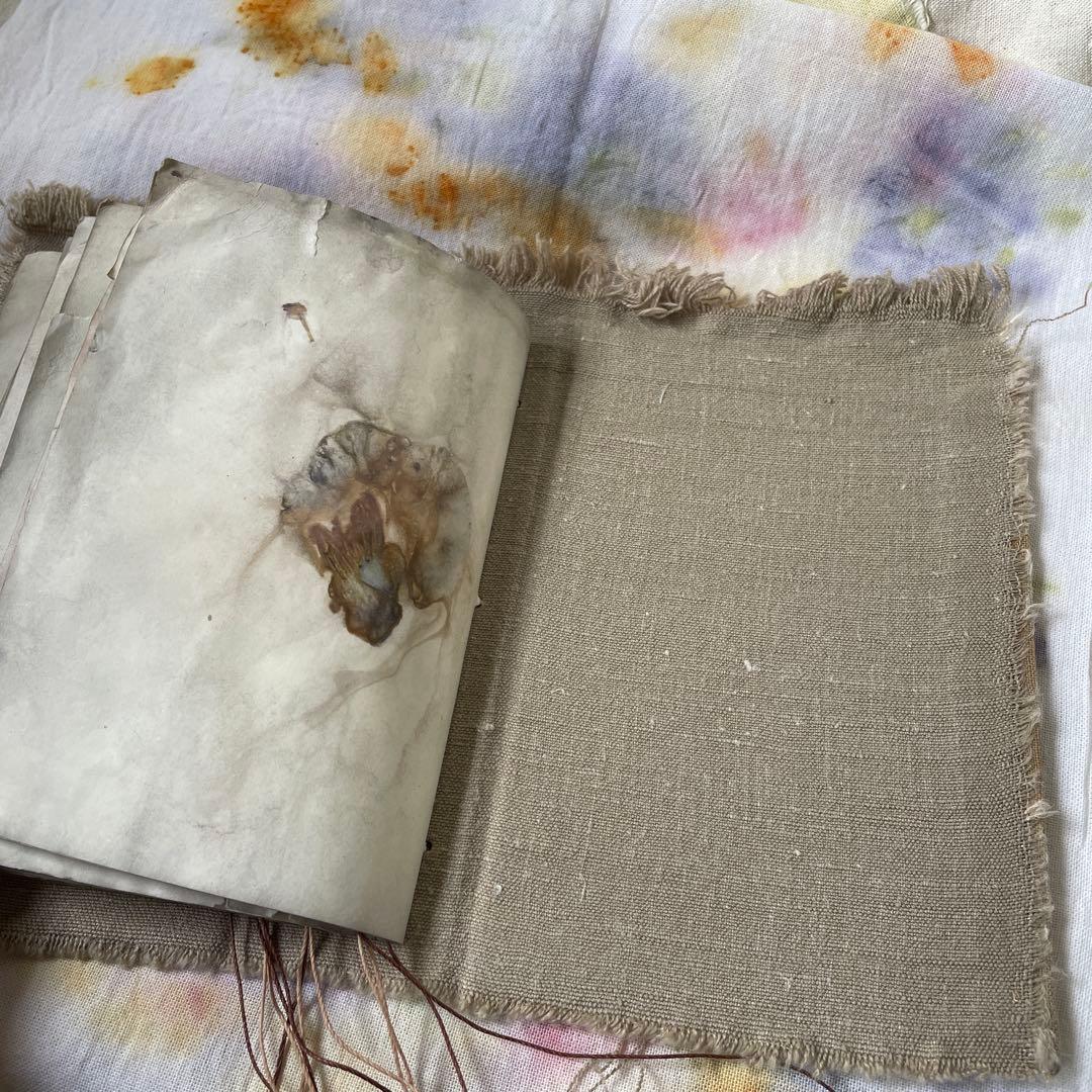 7月20日　ぱおら様2冊　「花ゲリラの本」　 「襤褸の本13〜路地裏の本2〜」