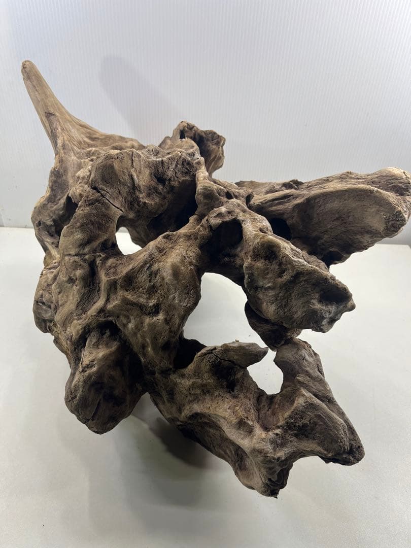 W30大型流木アク抜き済み流木 爬虫類シェルター 登り木 インテリア 生け花