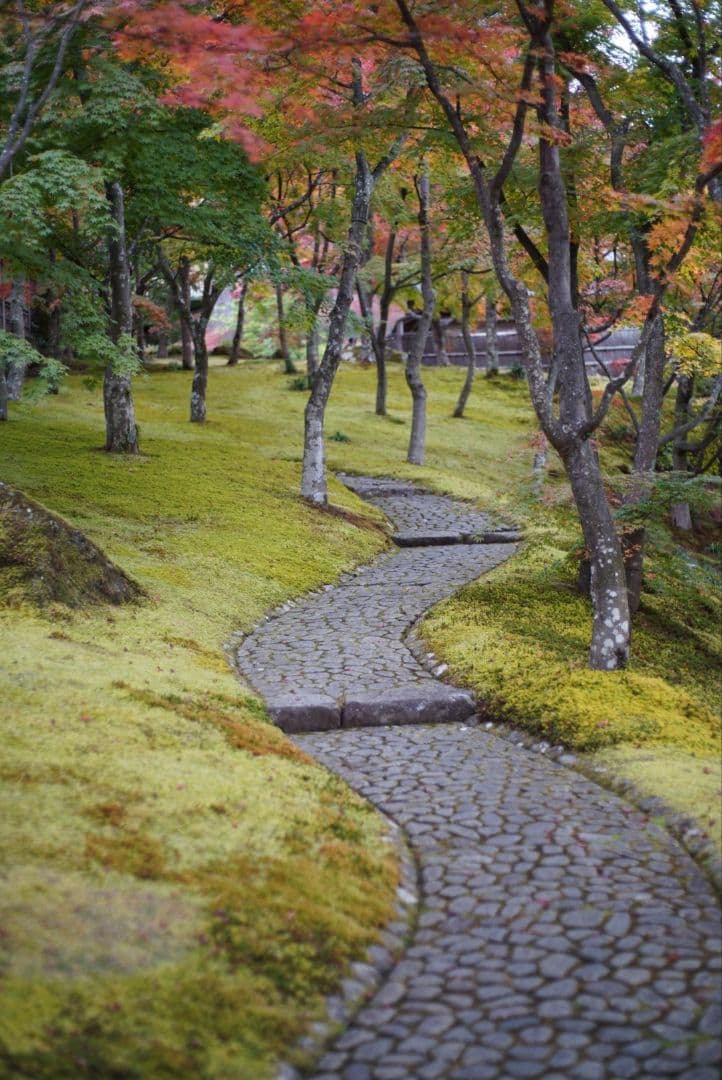 【動作確認済】Nikon Ai-s 50mm f1.8 パンケーキ 純正付属品付