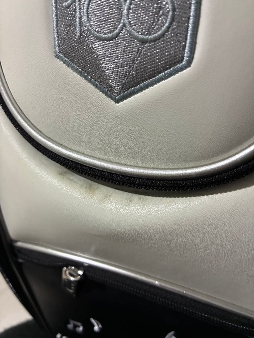 Disney 100周年記念 スタンド型ゴルフバッグ