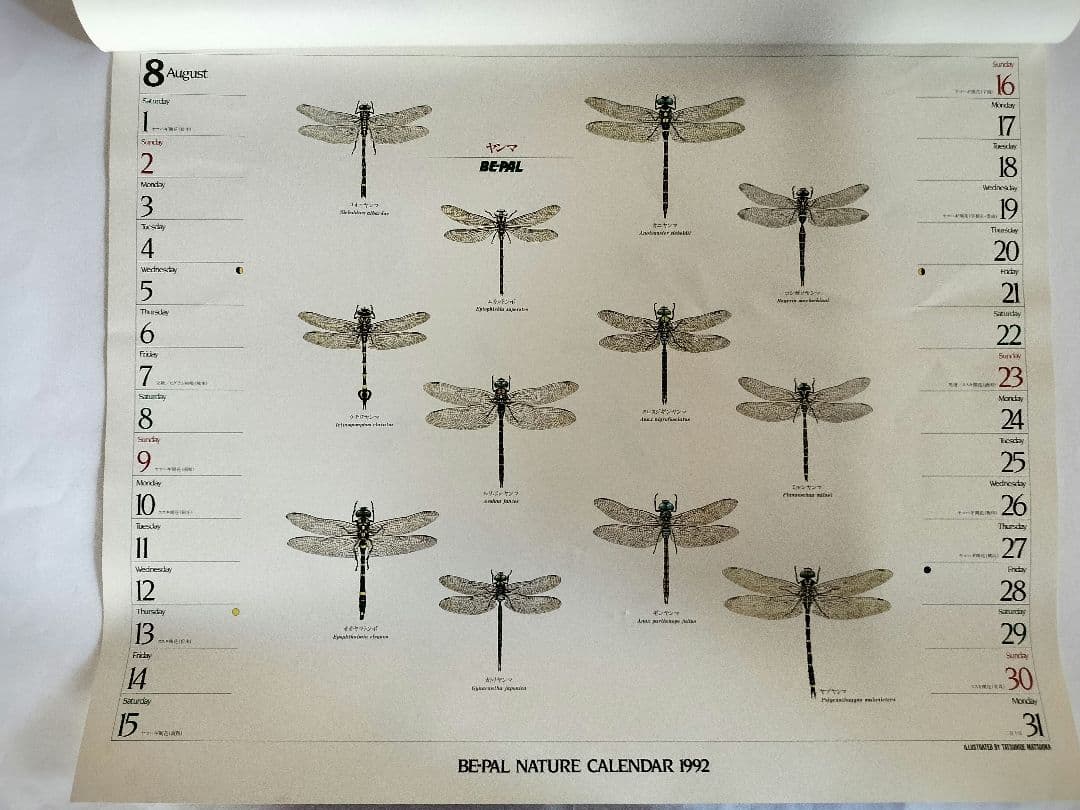 BE-PAL ビーパル カレンダー 新品未使用 1992年 ヴィンテージ