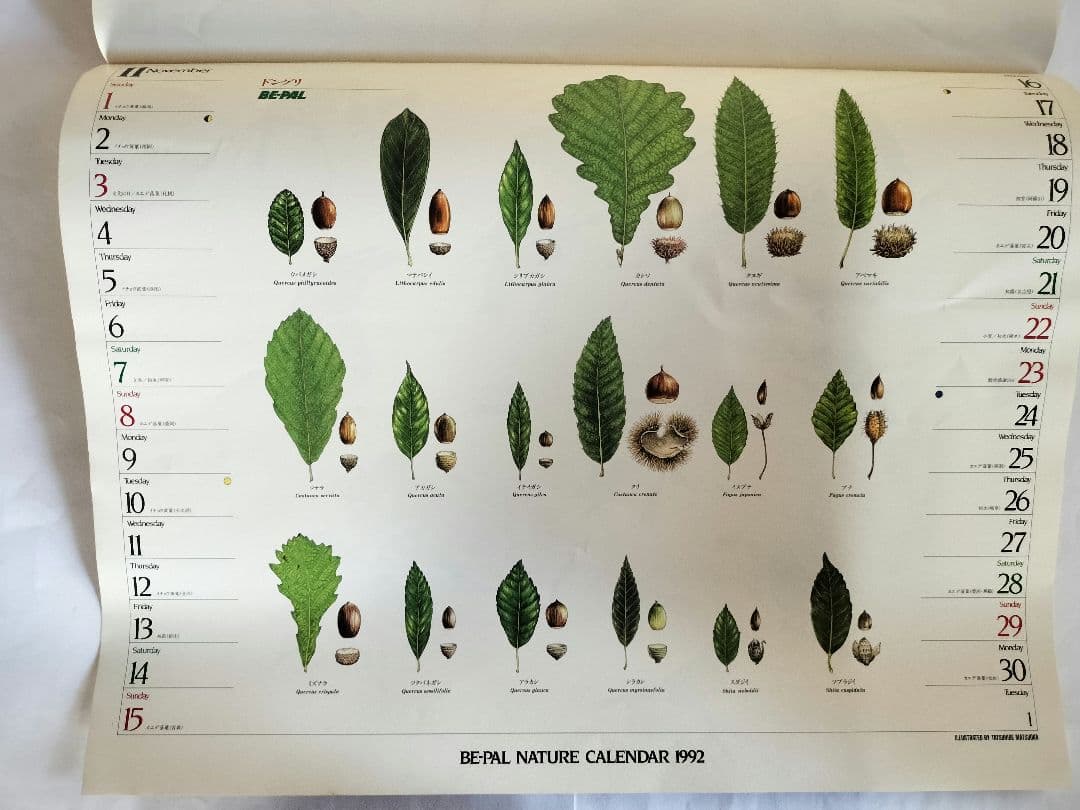 BE-PAL ビーパル カレンダー 新品未使用 1992年 ヴィンテージ