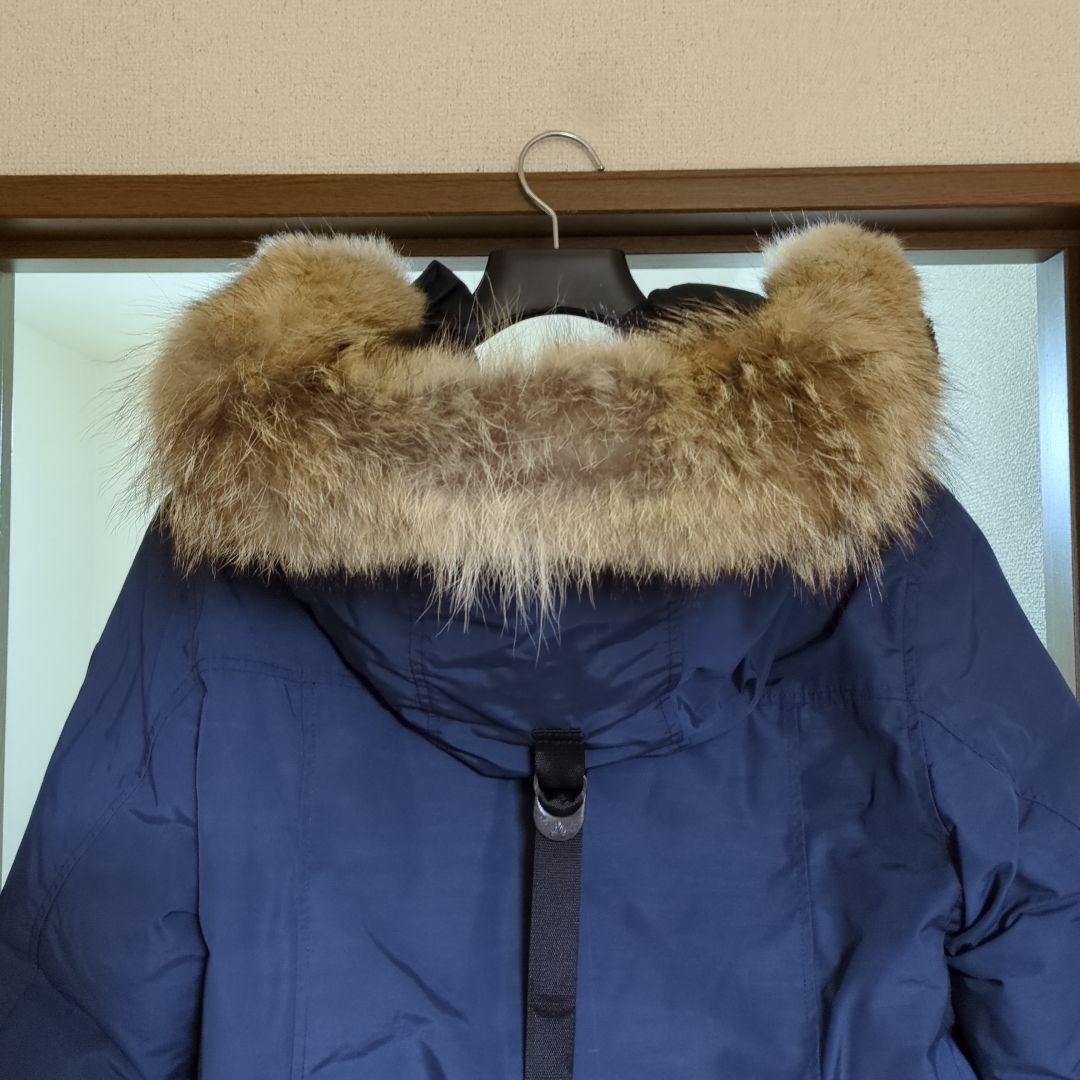 【ポンちゃん】アークティックベイ　ARCTIC BAY