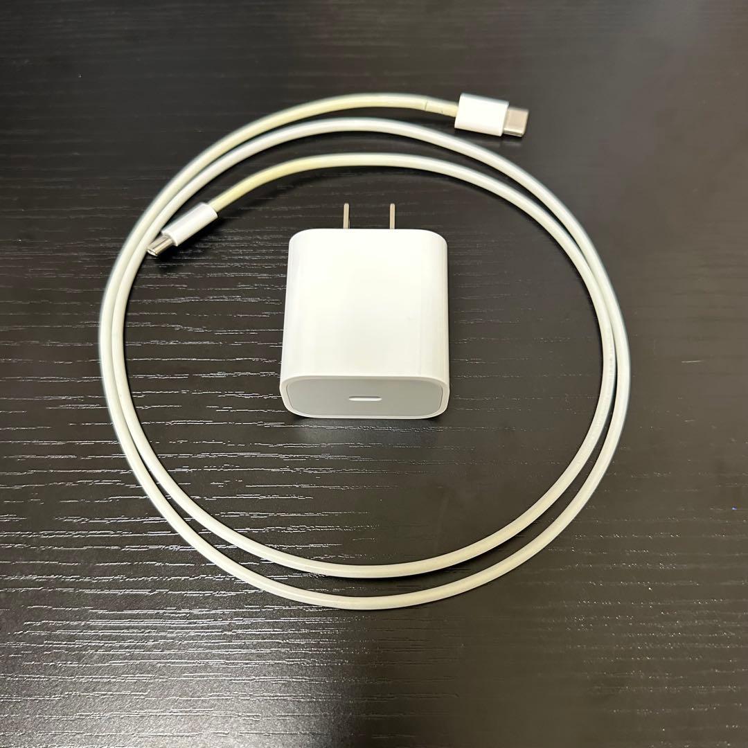 iPad Pro 11インチ 第1世代 64GB Wi-Fiモデル（即日発送可）