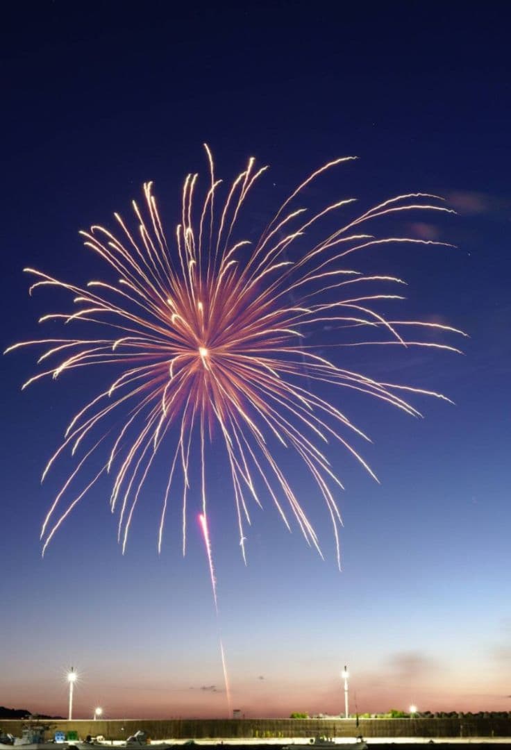 【イチロー様】シグマ 50mm F1.4 DG HSM Art Lマウント