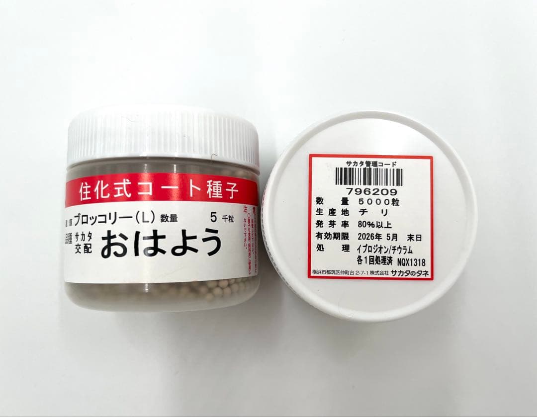 【お年玉価格】値下げ！ブロッコリー種子（おはよう）5000粒3個セット