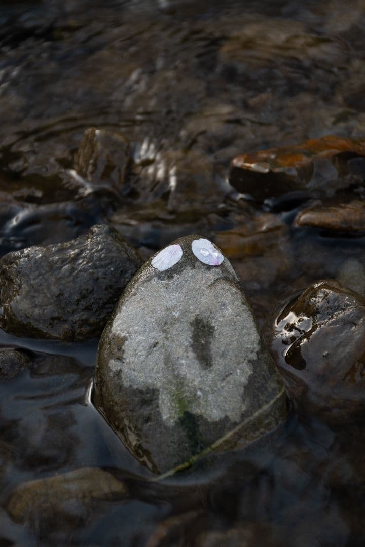 【美品】Nikon 18-140mm f/3.5-5.6G ED VR