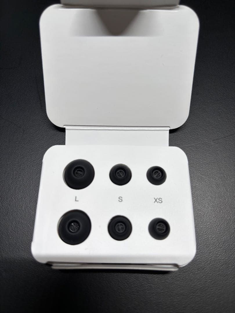 Bowers & Wilkins Pi8 (アンスラサイト・ブラック)