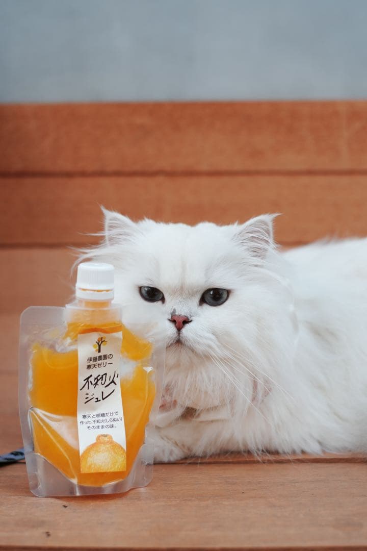 NOKTON 35mm F1.4 II SC VM M-Eマウント変換アダプター