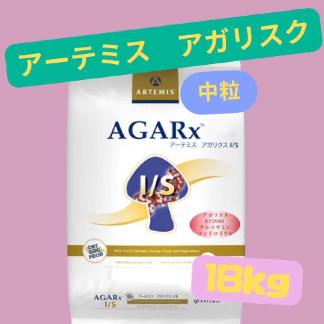 まいまい