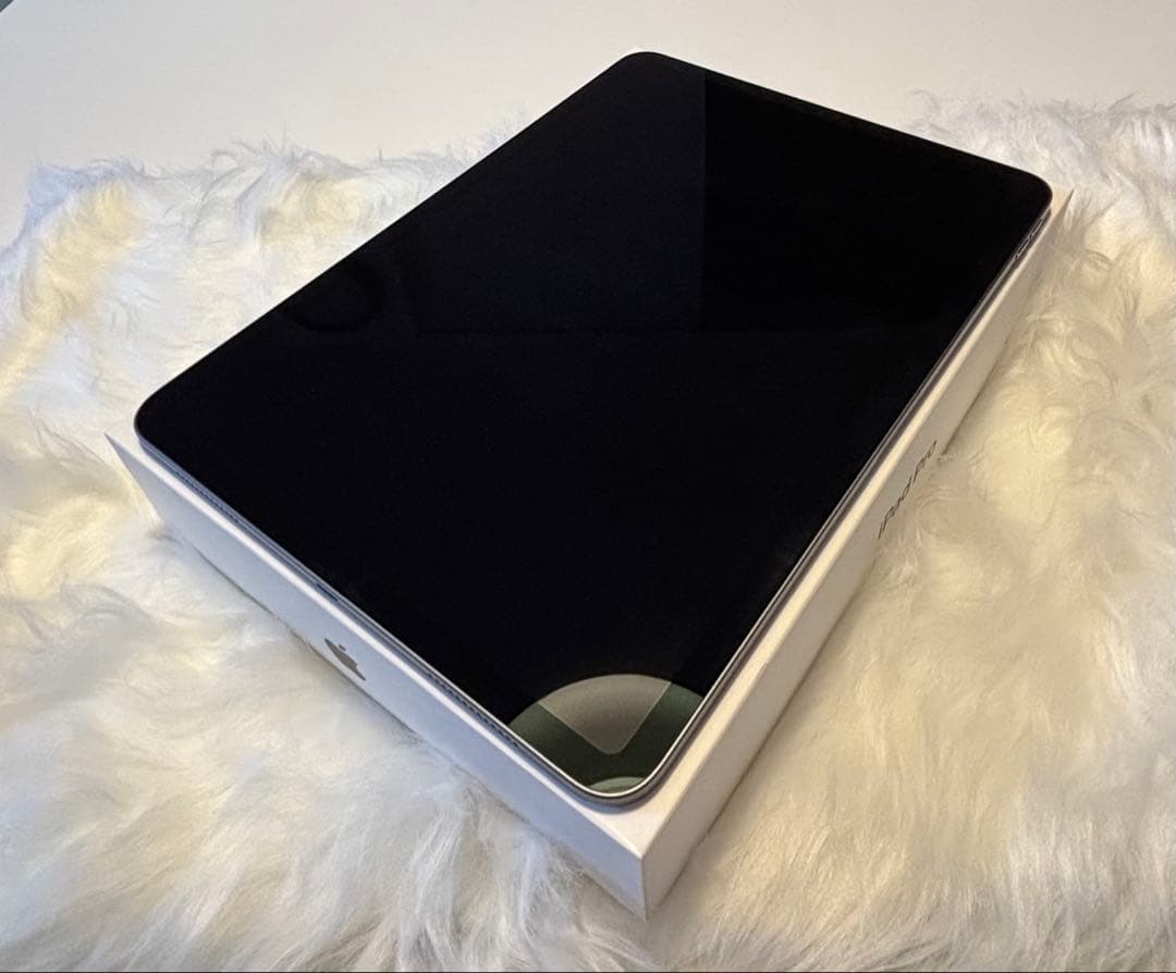 iPad Pro （11インチ 第2世代 128GB)凹み