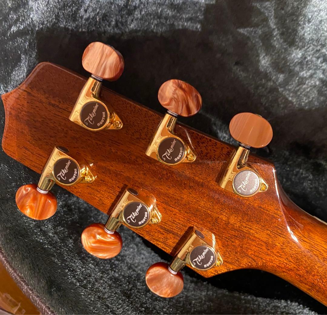 タカミネ DMP50S 2ピックアップ エレアコ ナチュラル