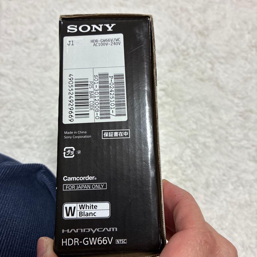 SONY HDR-GW66V 本体