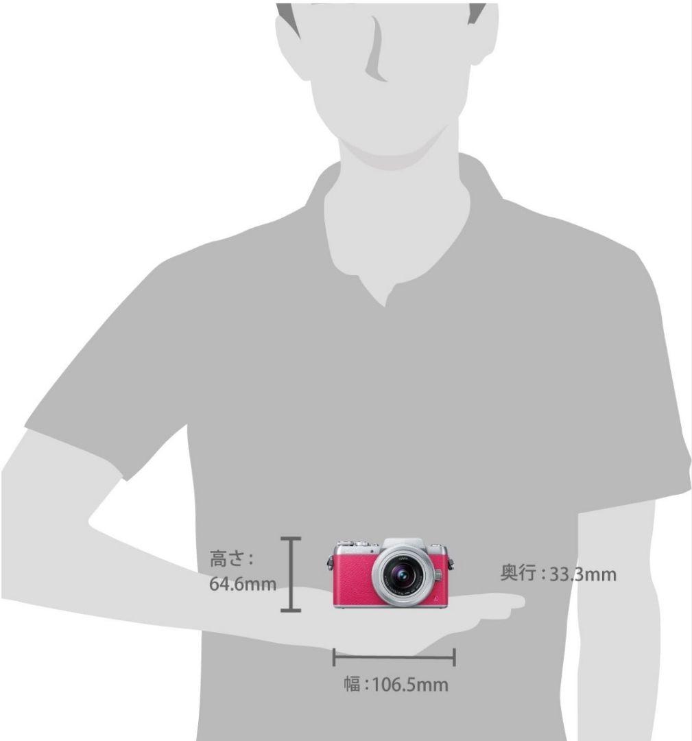 パナソニック ミラーレス一眼カメラ ダブルズームレンズ DMC-GF7W-S