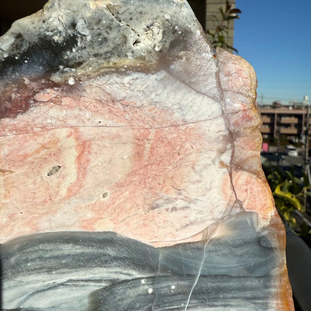 高品質　ペトリファイドウッド　520g プレート　底面磨き　台座付き　珪化木②