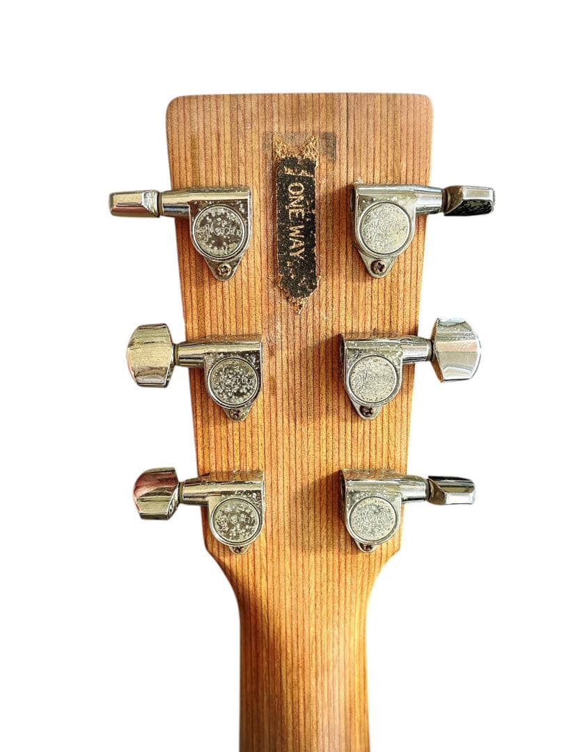 Martin & Co. DXM Dreadnought アコースティックギター