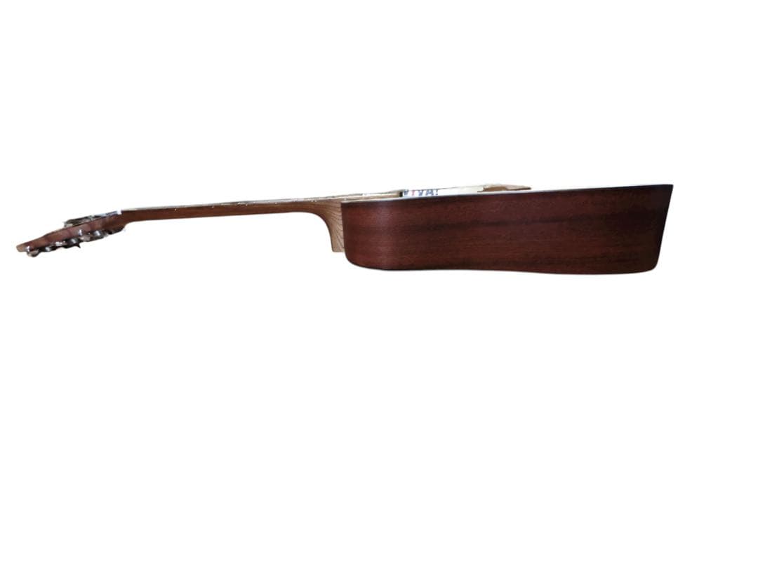 Martin & Co. DXM Dreadnought アコースティックギター