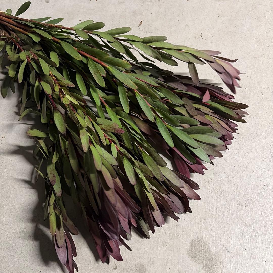 ぬー様 リクエスト 3点 まとめ商品