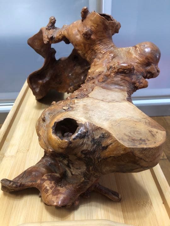 週末Sale❣️木の根置物