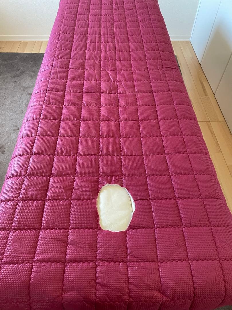 【おまけ盛りだくさん】折りたたみ軽量エステベッド＊引き取り可能な方