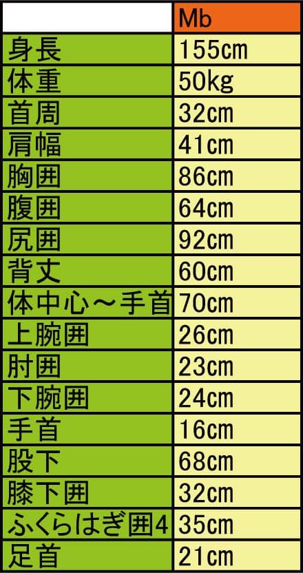 国内生産/ALL3mフルスーツ/クラッシックウェットスーツ/レディースMbサイズ