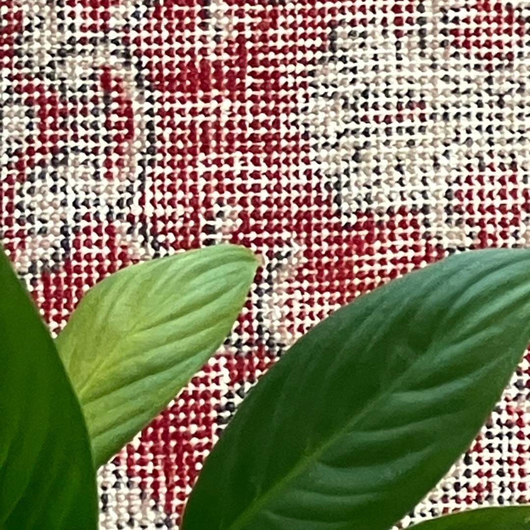 超ロング　シャビーレッド56×290✳︎紋章柄　ランナー　トルコヴィンテージラグ