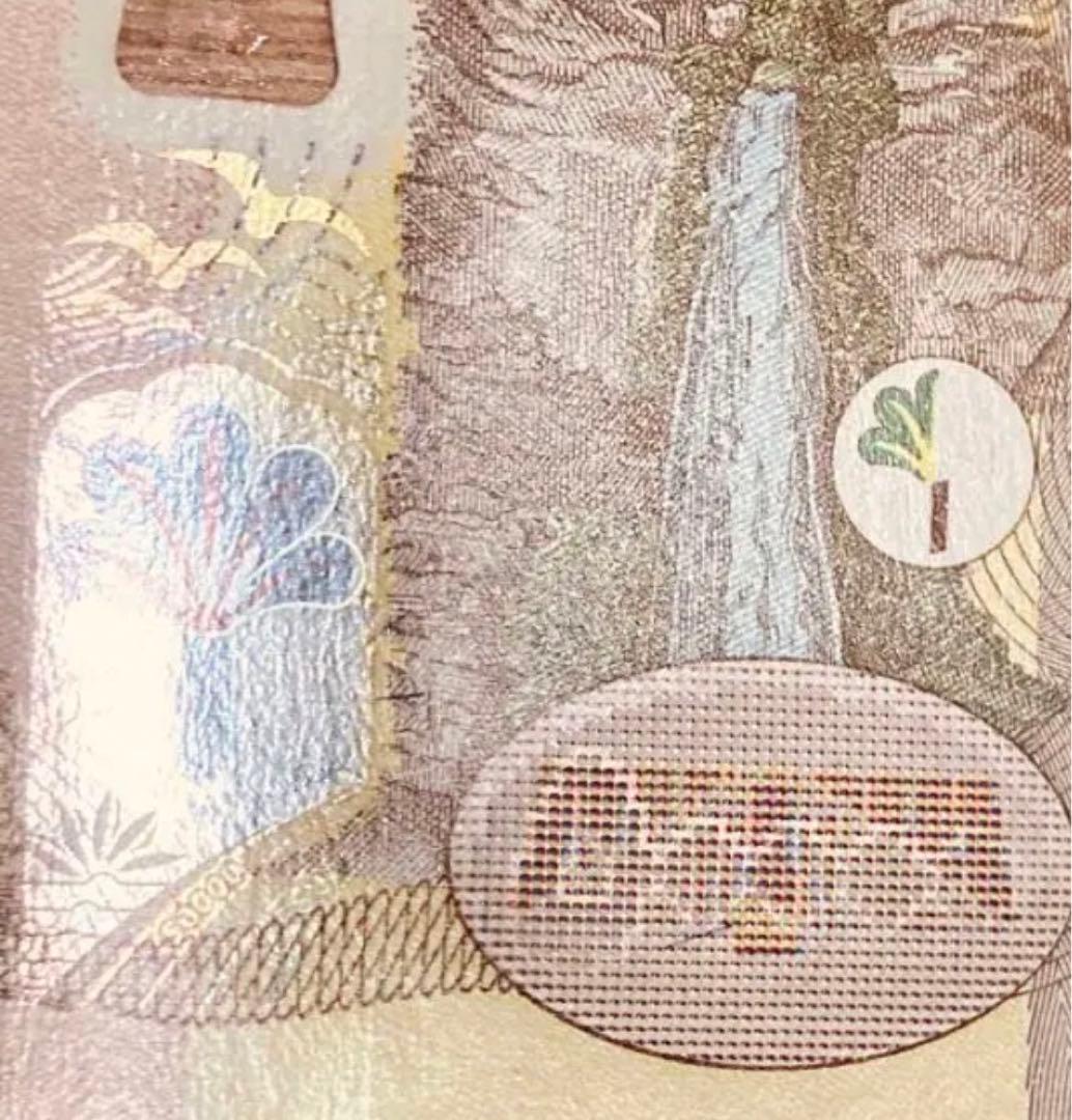 【証明書付き】イラクディナール50000紙幣1枚